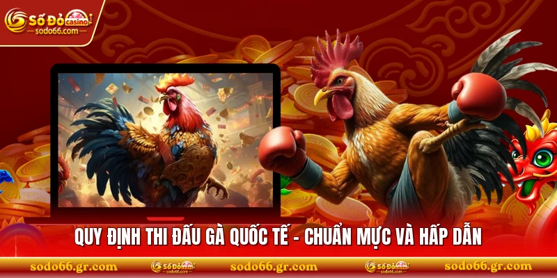 Quy Định Thi Đấu Gà Quốc Tế